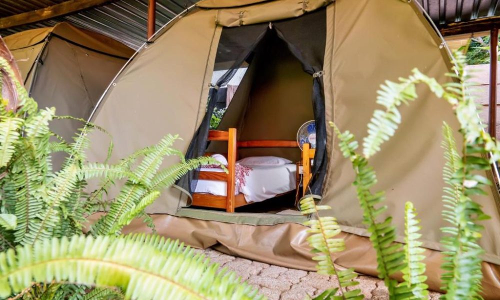 Shoestrings Backpackers