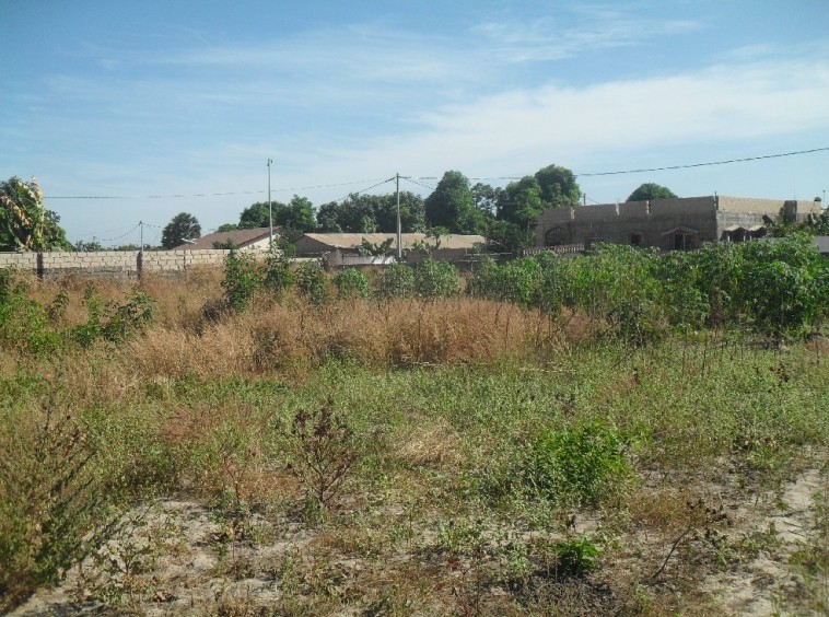 Plot for sale